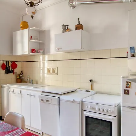 Large Full House Center Apartment Nice